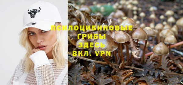 первитин Инсар