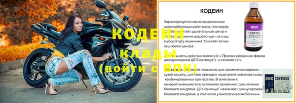 герыч Иннополис