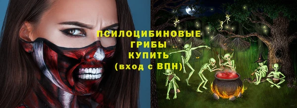 герыч Иннополис