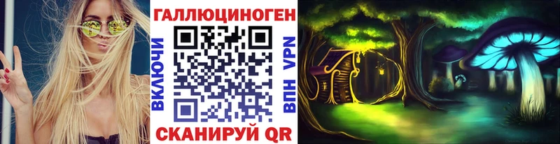 Купить где Новохопёрск Галлюциногенные грибы Psilocybine cubensis