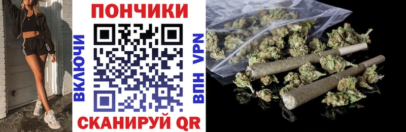 Купить закладки  Новохопёрск  Конопля тримм 